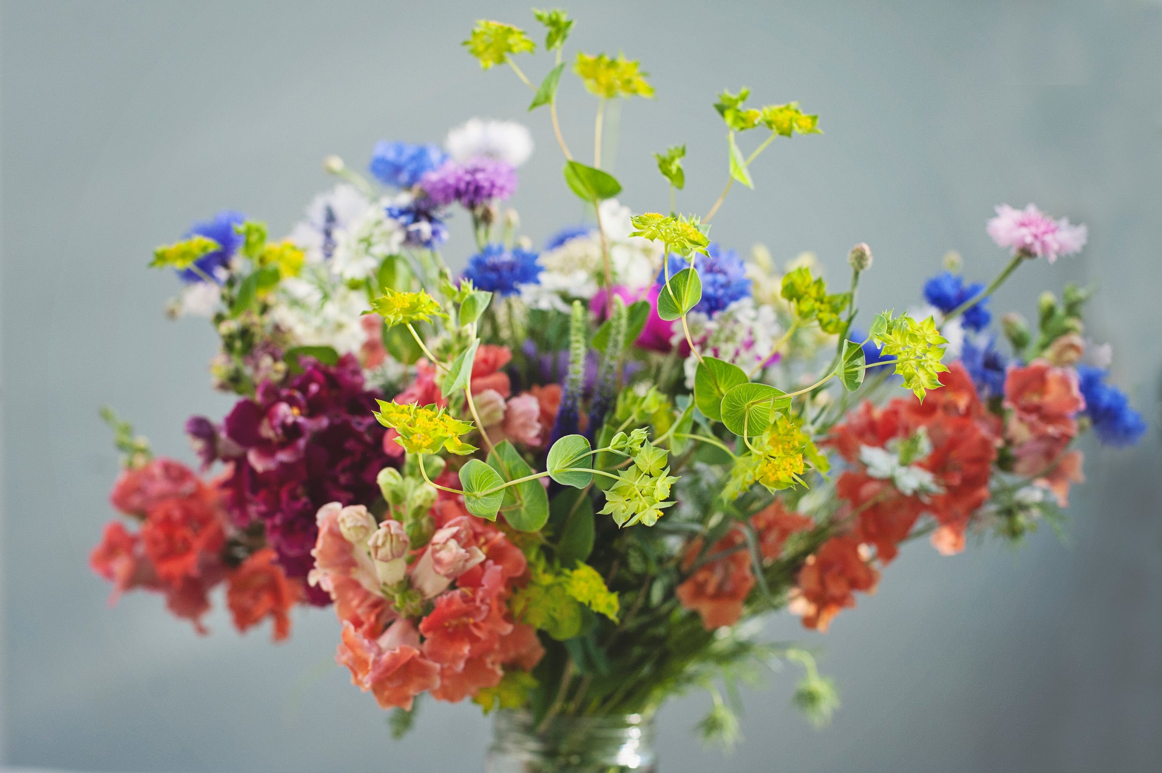 Bouquet of spring flowers including bachelors buttons, bupleurum, snapdragons, and stock