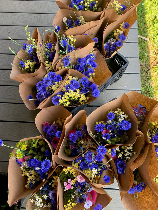 Market Bunch