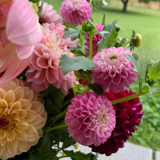 Half Pint Arrangement at Market