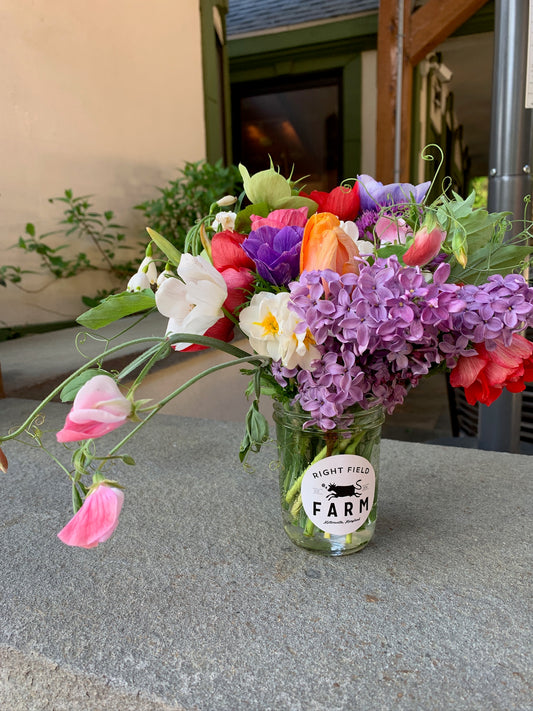 Half Pint Arrangement sale at Garten
